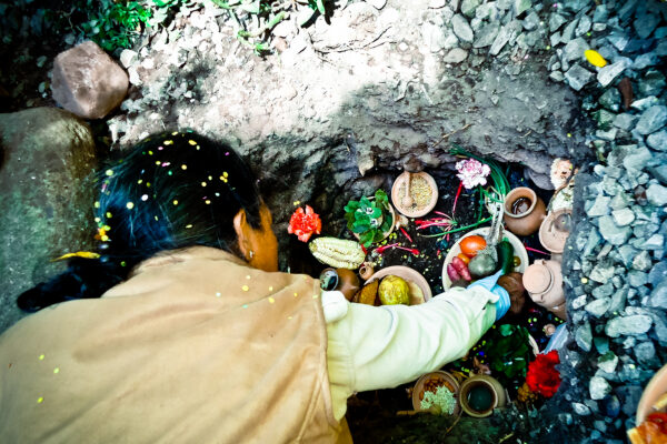 La hoja de coca