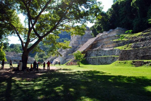 Esplorando l’antica città di Palenque: una visita indimenticabile