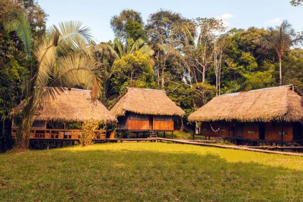 Amazonía: cómo elegir el eco-lodge adecuado en la Reserva de Tambopata