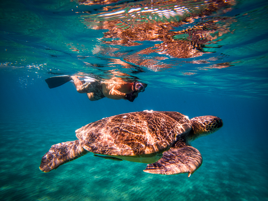 Ecoturismo e Viaggi PerùEtico