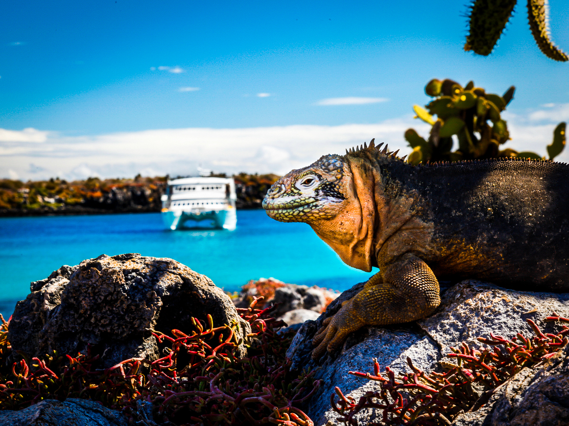 Ecoturismo e Viaggi PerùEtico