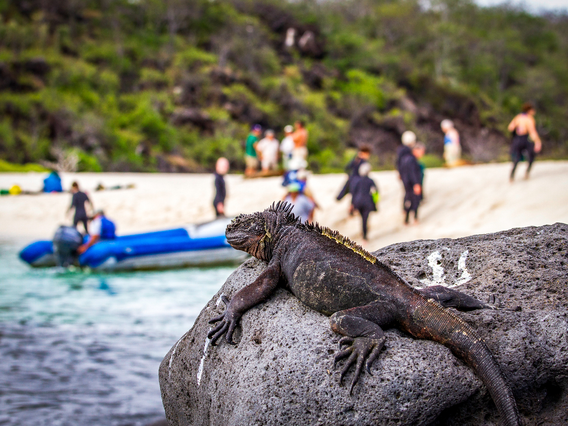 Ecoturismo e Viaggi PerùEtico